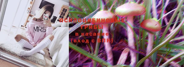 молекула духа Верея