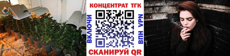 закладки  Киренск  ТГК THC oil 