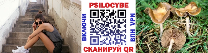 Галлюциногенные грибы MAGIC MUSHROOMS  где найти   Киренск 